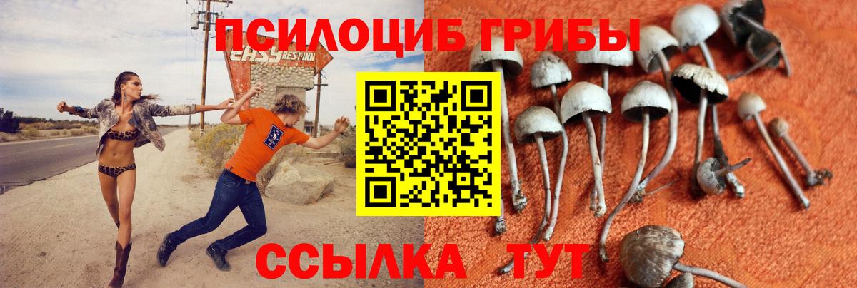 Тосно  Галлюциногенные грибы Cubensis  Вход с VPN  где можно купить   Псилоцибиновые грибы мухоморы 